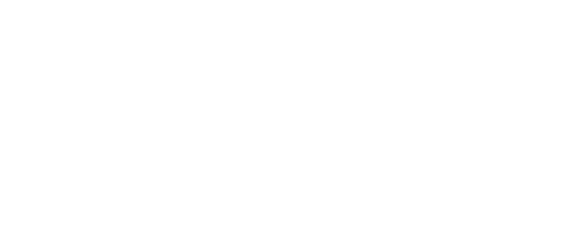 logo-g2o
